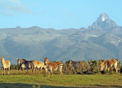 Explore 6 Stunning East Africa Hikes & Treks