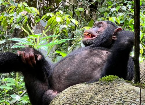 19-DAY SECRET AFRICA ADVENTURE