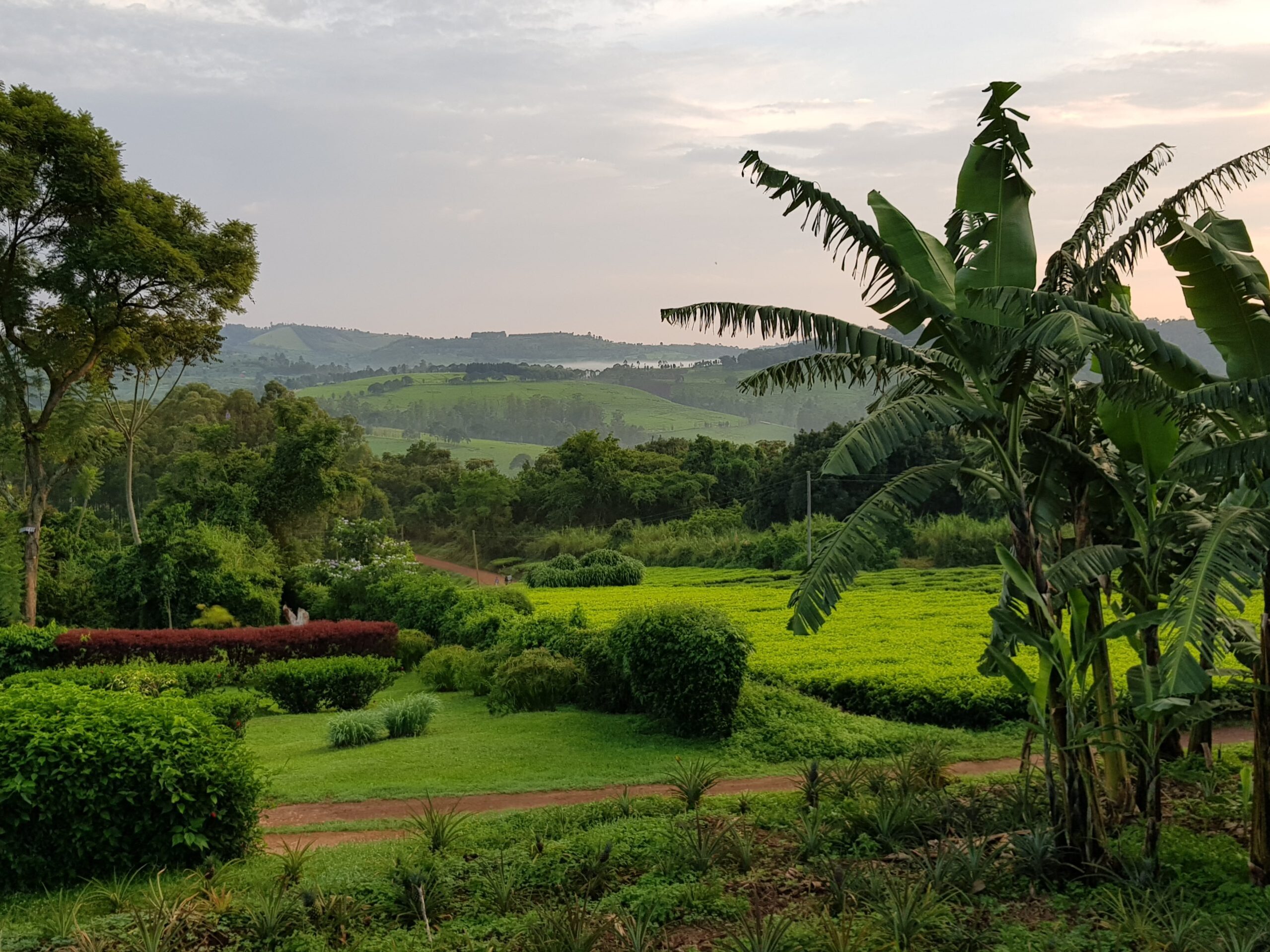 Rwanda